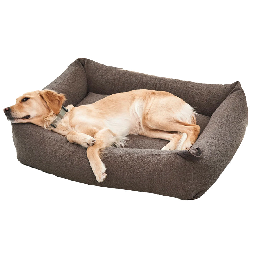 labrador sleeping on orthopedic dog bed