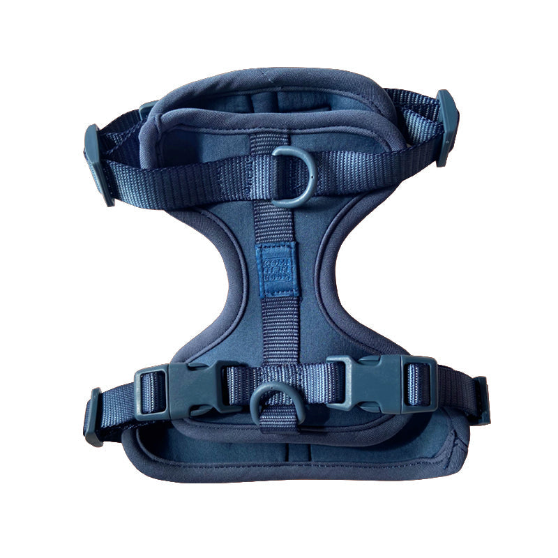 Cute lightweight cushioned dog harness