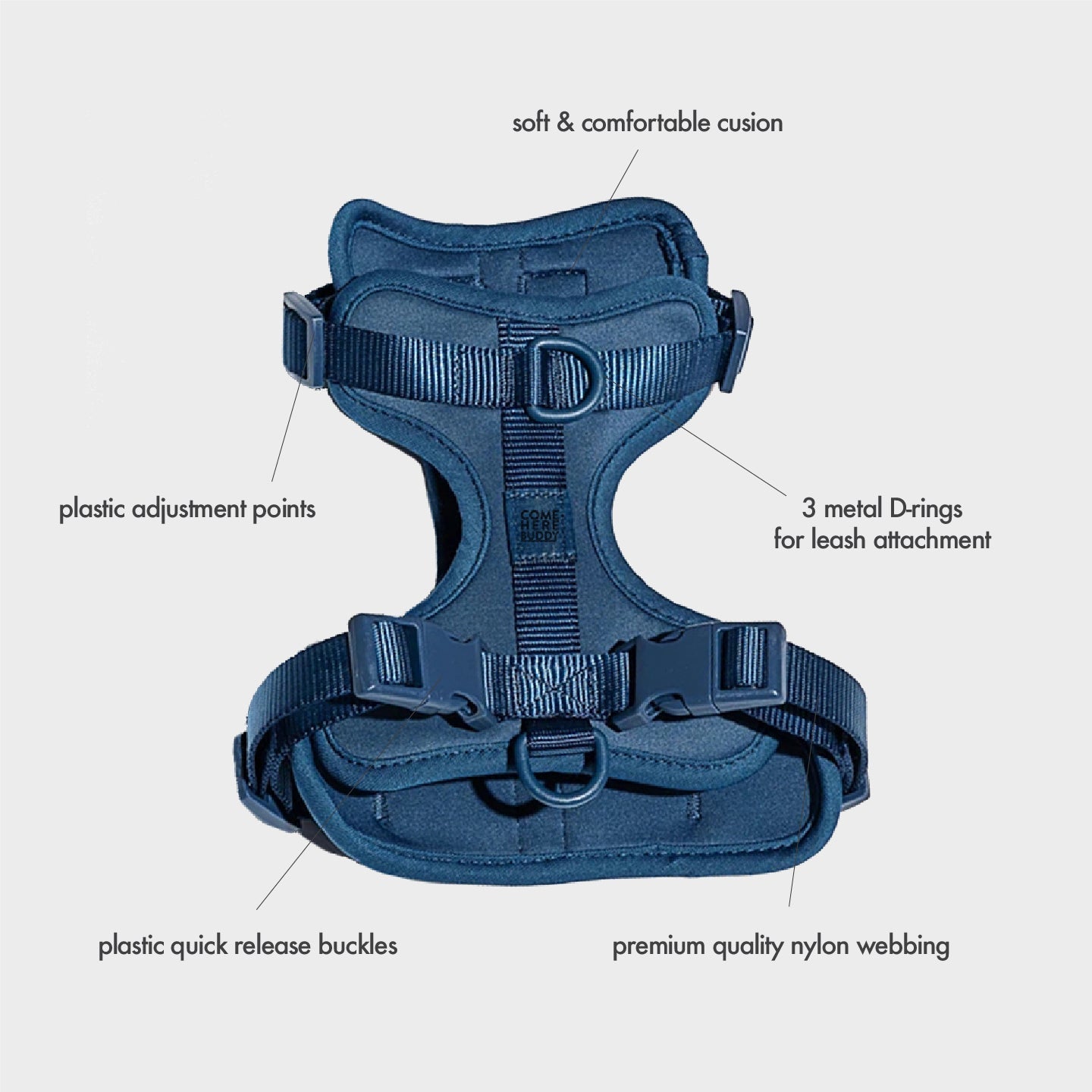 Cute lightweight cushioned dog harness
