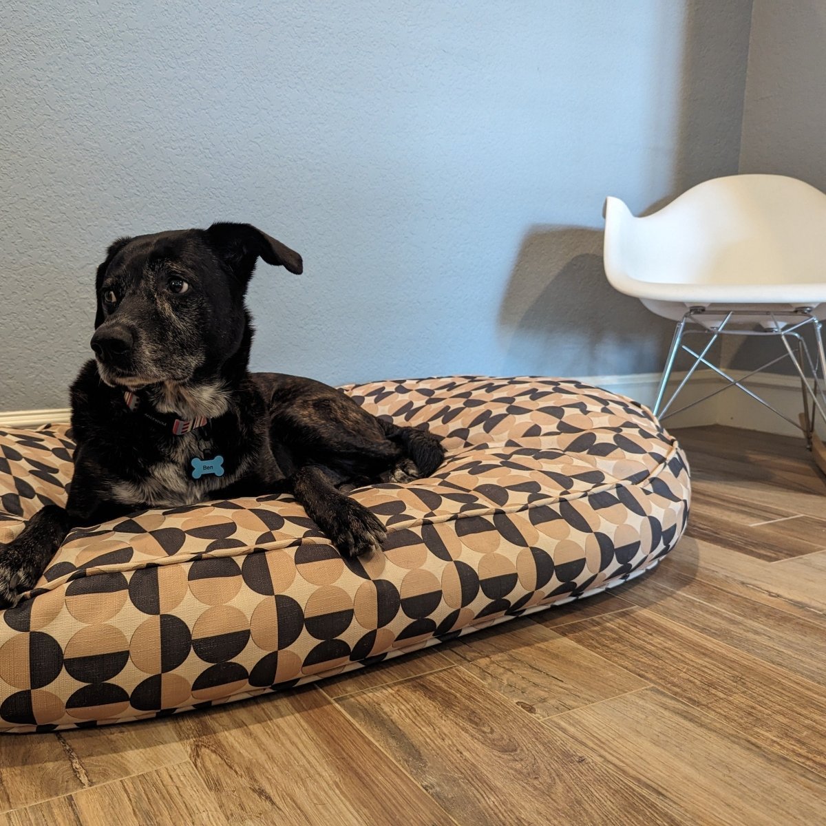 Large size black shepherd dog on oval pillow
