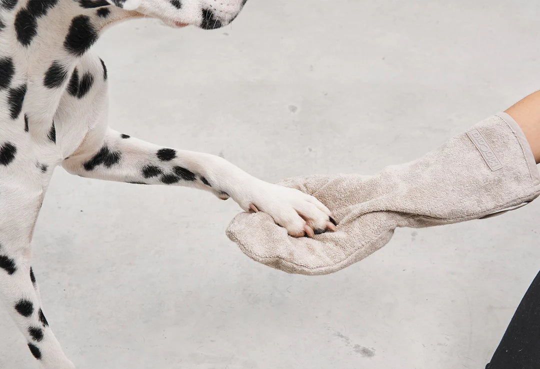 MiaCara Dog Bathrobe & Paw Cleaning Towels