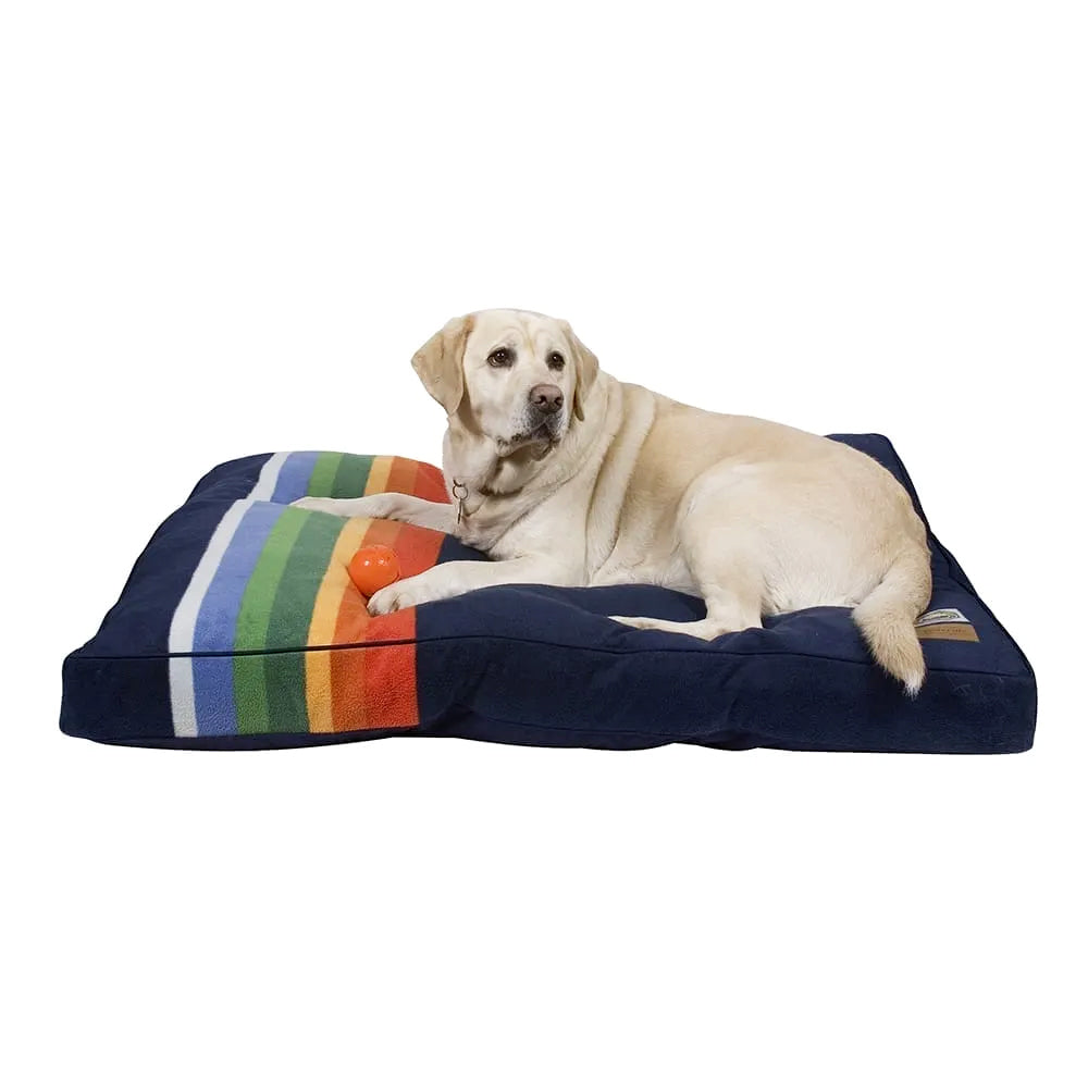 labrador on a Pendleton dog napper
