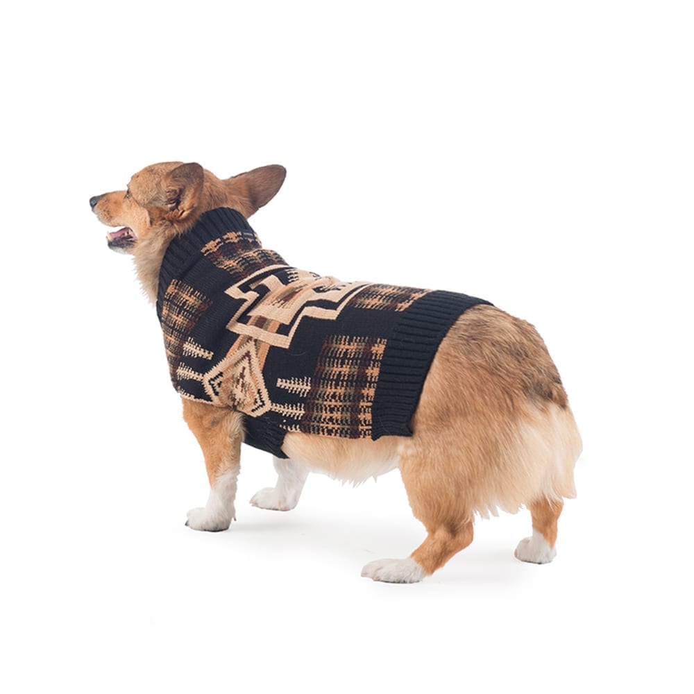 Pendleton knit dog sweater on Pembroke Welsh Corgi 