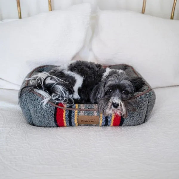 Pendleton small dog bed kuddler
