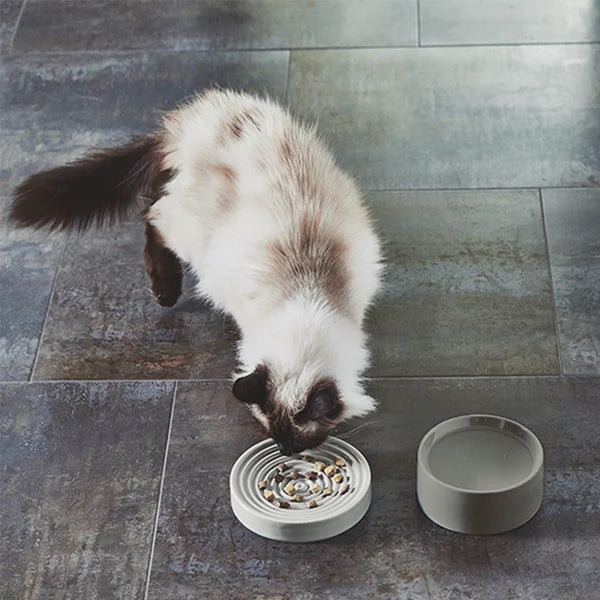 Siamese cat eating kibble from porcelain slow feeder cat bowl from Miacara