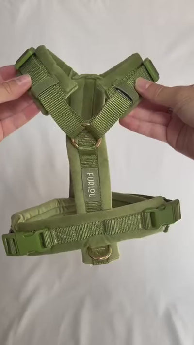 How to use dog harness