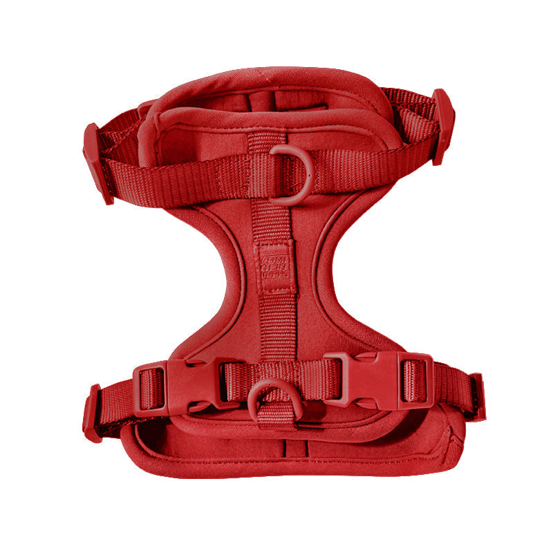 Cute lightweight cushioned dog harness