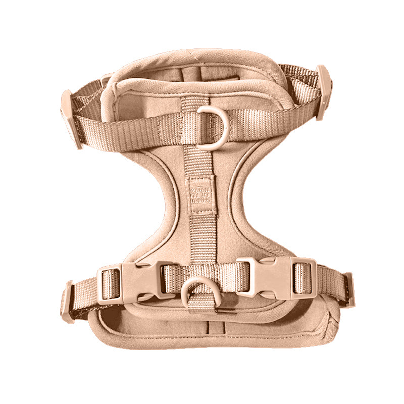 Cute lightweight cushioned dog harness