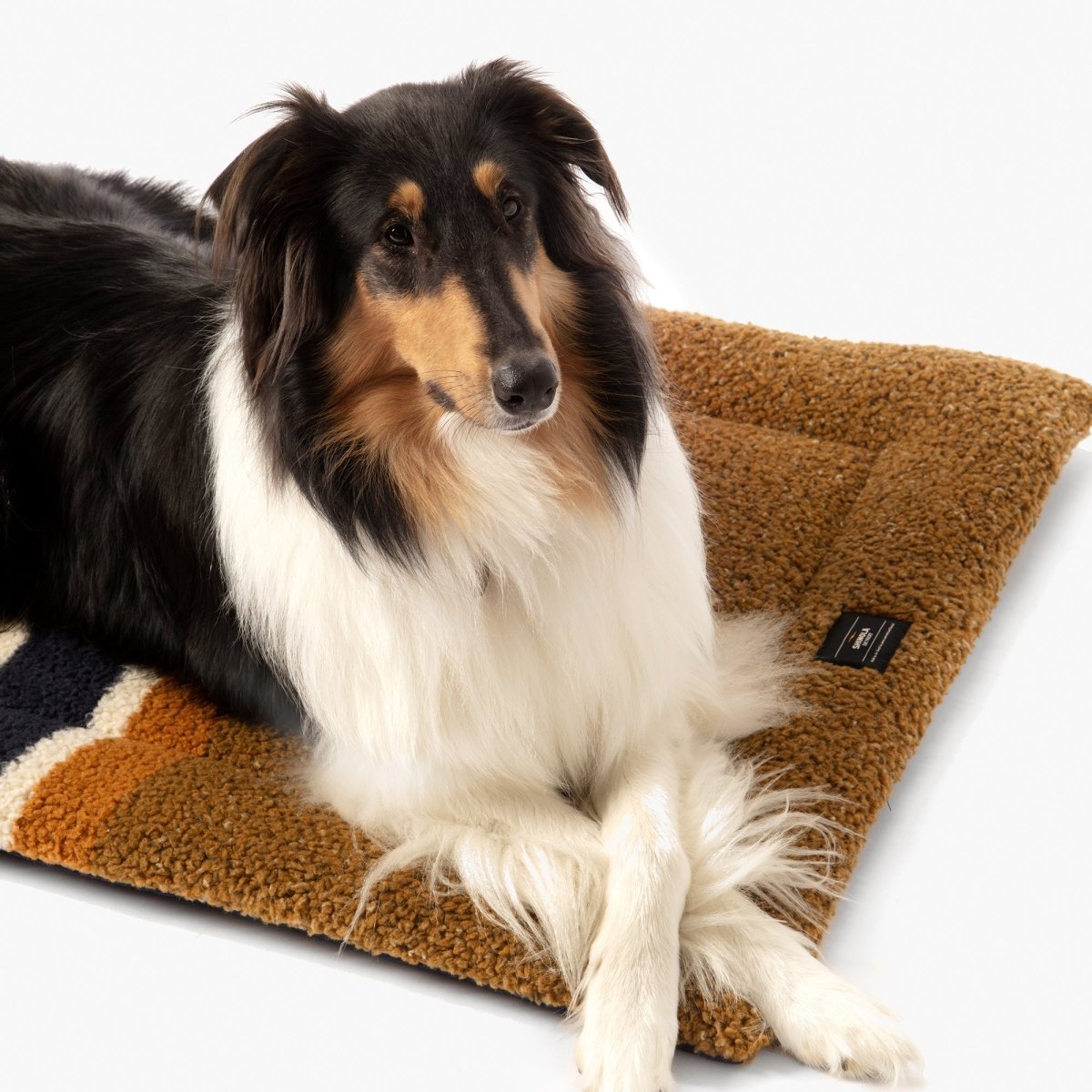 Shinola Brand Stripe Comfort Cushion, Removable Berber Cover, Luxury Crate Mat