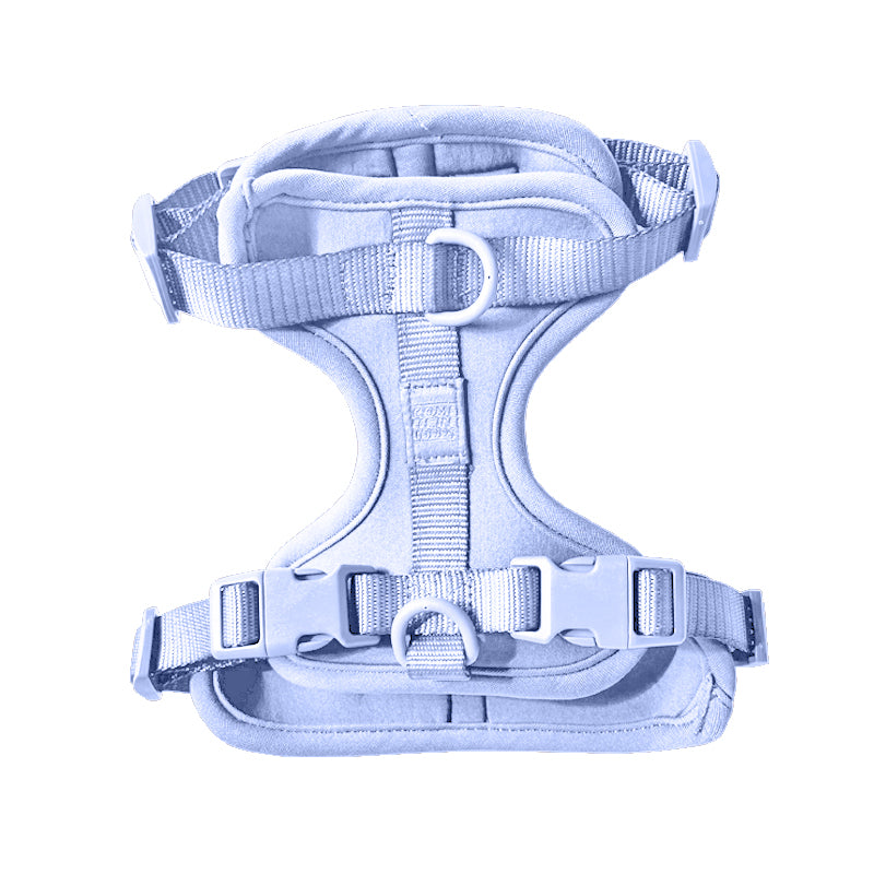 Cute lightweight cushioned dog harness