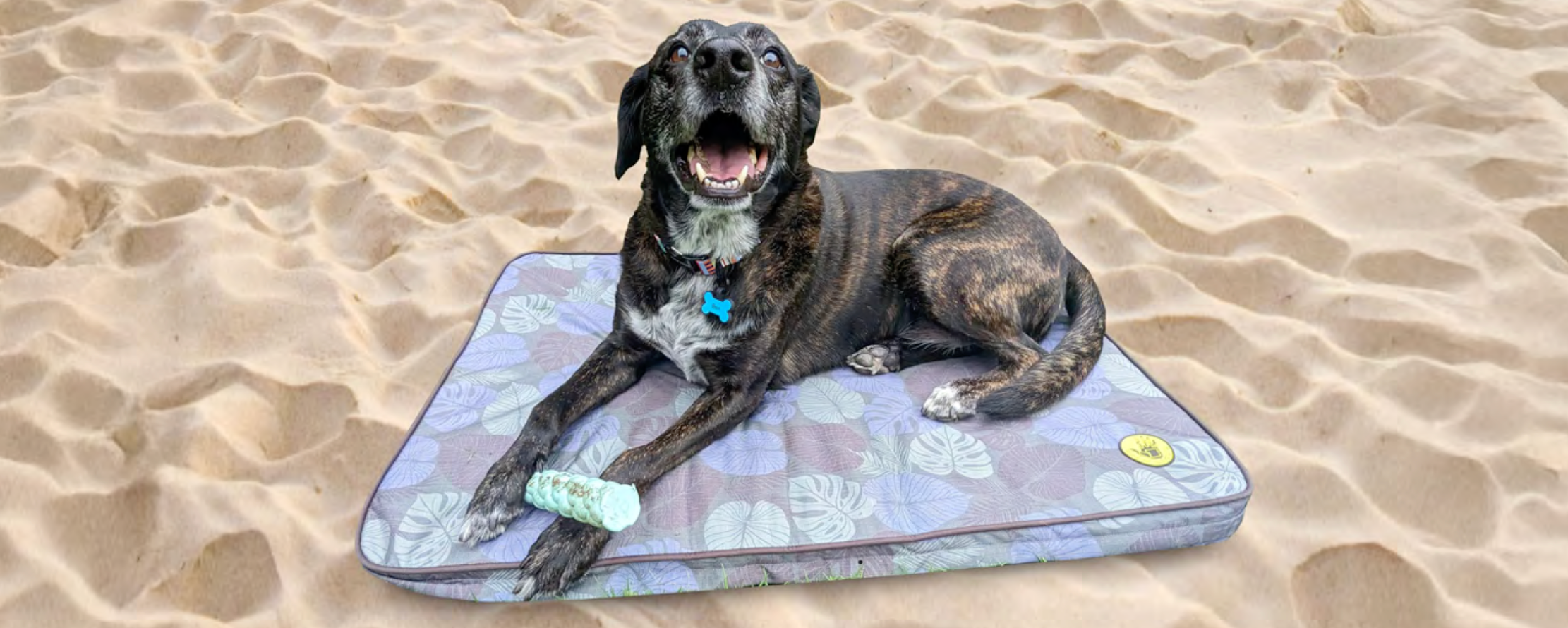 Large dog on tough pet mat for dogs form body glove is perfect for travel