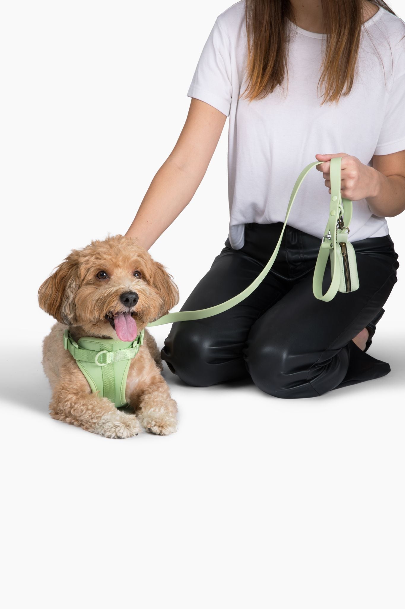 Cute lightweight cushioned dog harness