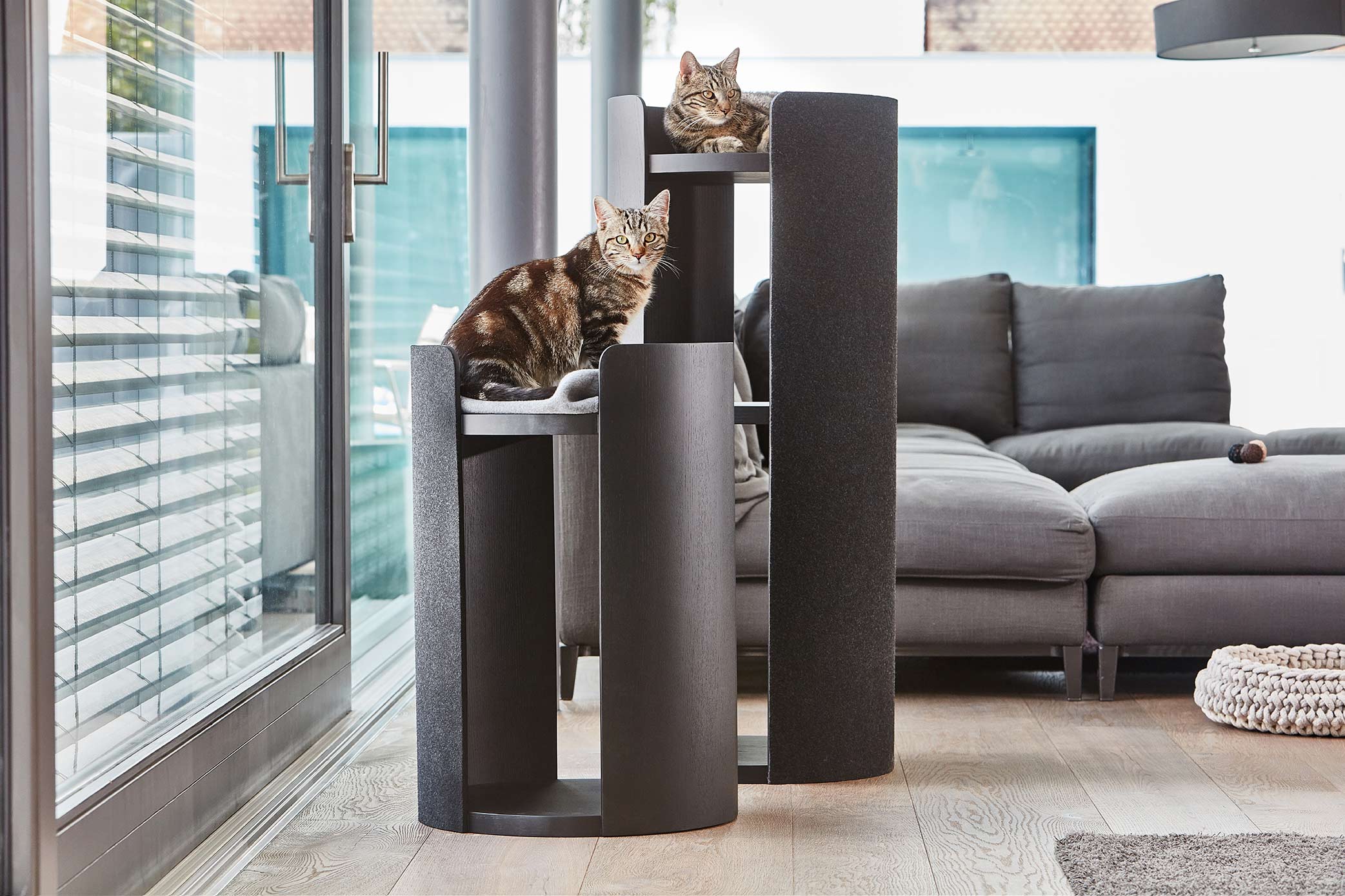 Two cats on Torre cat scratching post in black color 