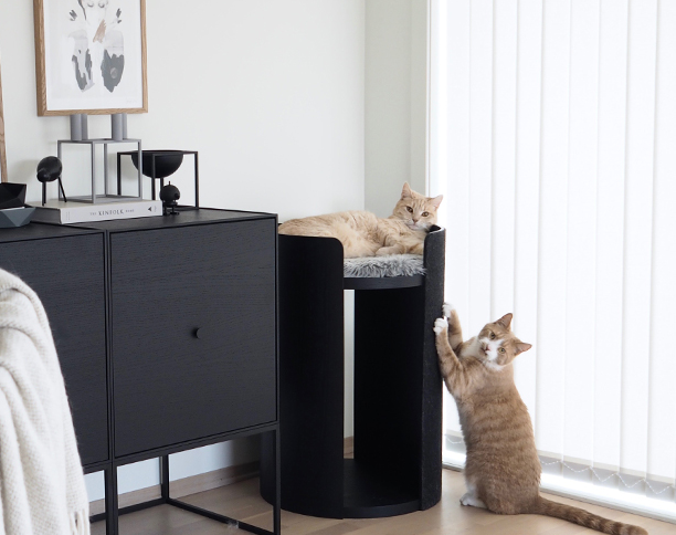Two orange cats with Miacara Torre designer cat scratching torre post
