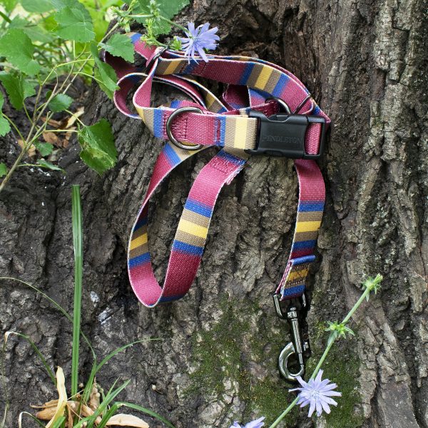 Pendleton collar national park