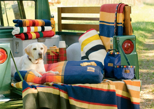 Pendleton crater lake napper from national parks pet collection