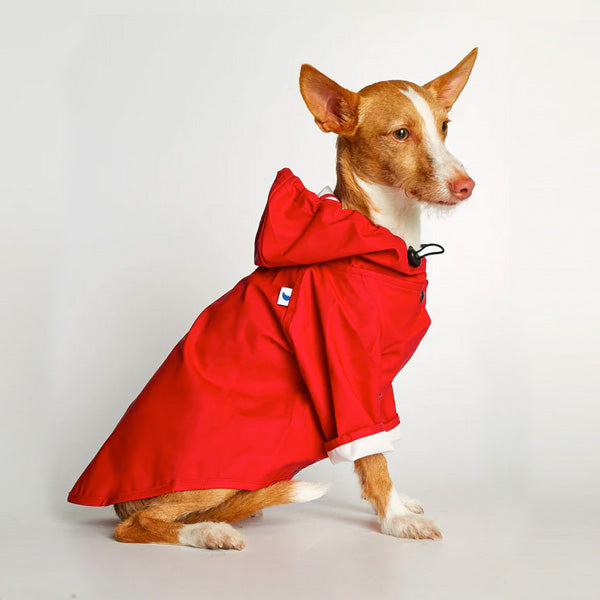 Waterproof Small Dog Rain Jacket For Dogs Up to 13 lbs
