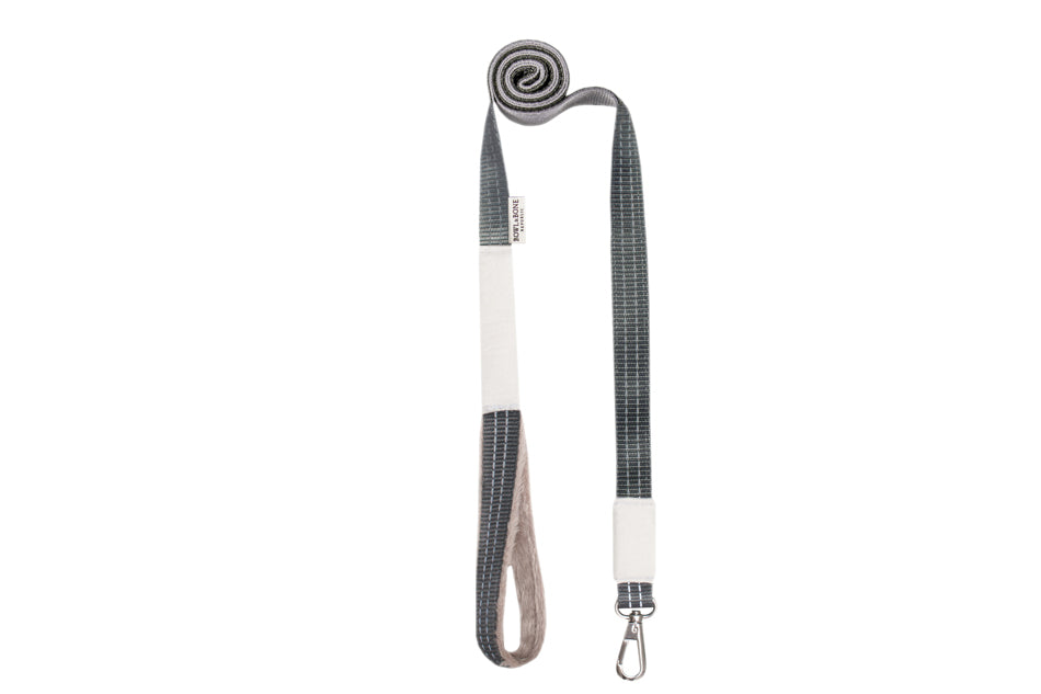Matching leash and harness set for XS toy dogs