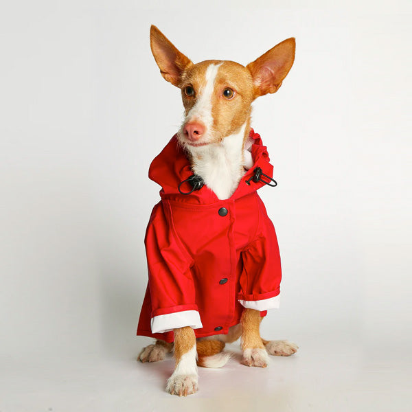 Waterproof Small Dog Rain Jacket For Dogs Up to 13 lbs