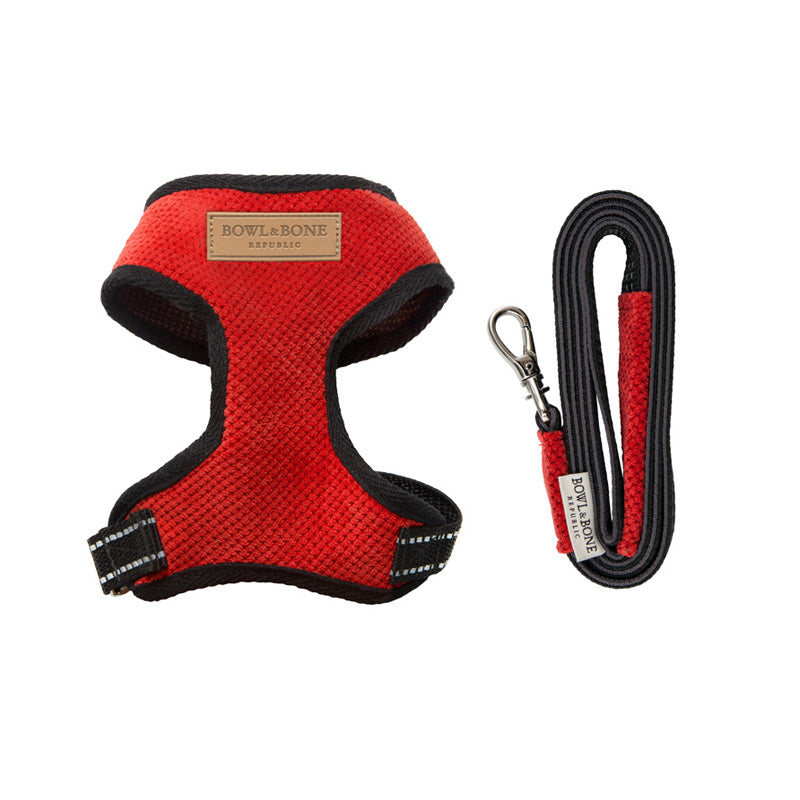 Extra small dog harness from bowl and bone