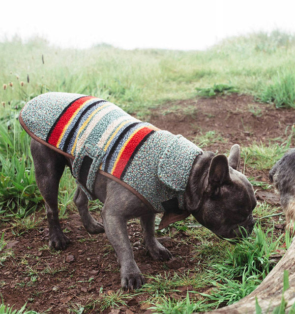 Pendleton vintage heather dog coat