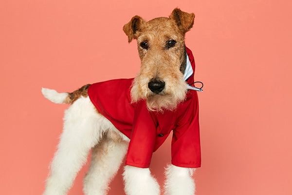 Waterproof Small Dog Rain Jacket For Dogs Up to 13 lbs