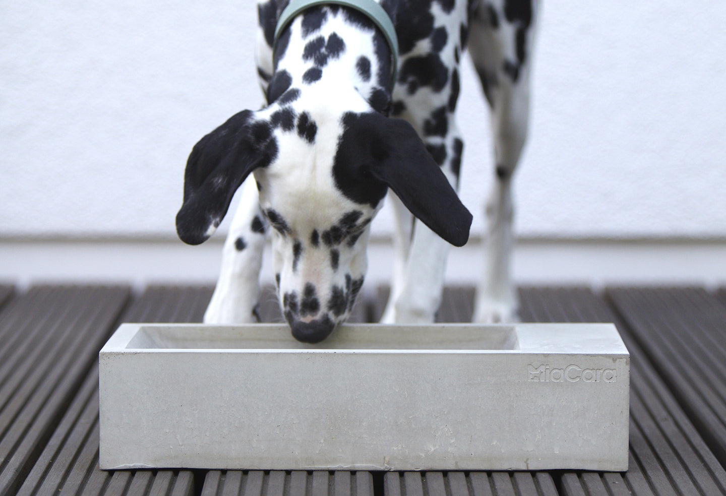 Concrete dog bowl for outdoors from Miacara
