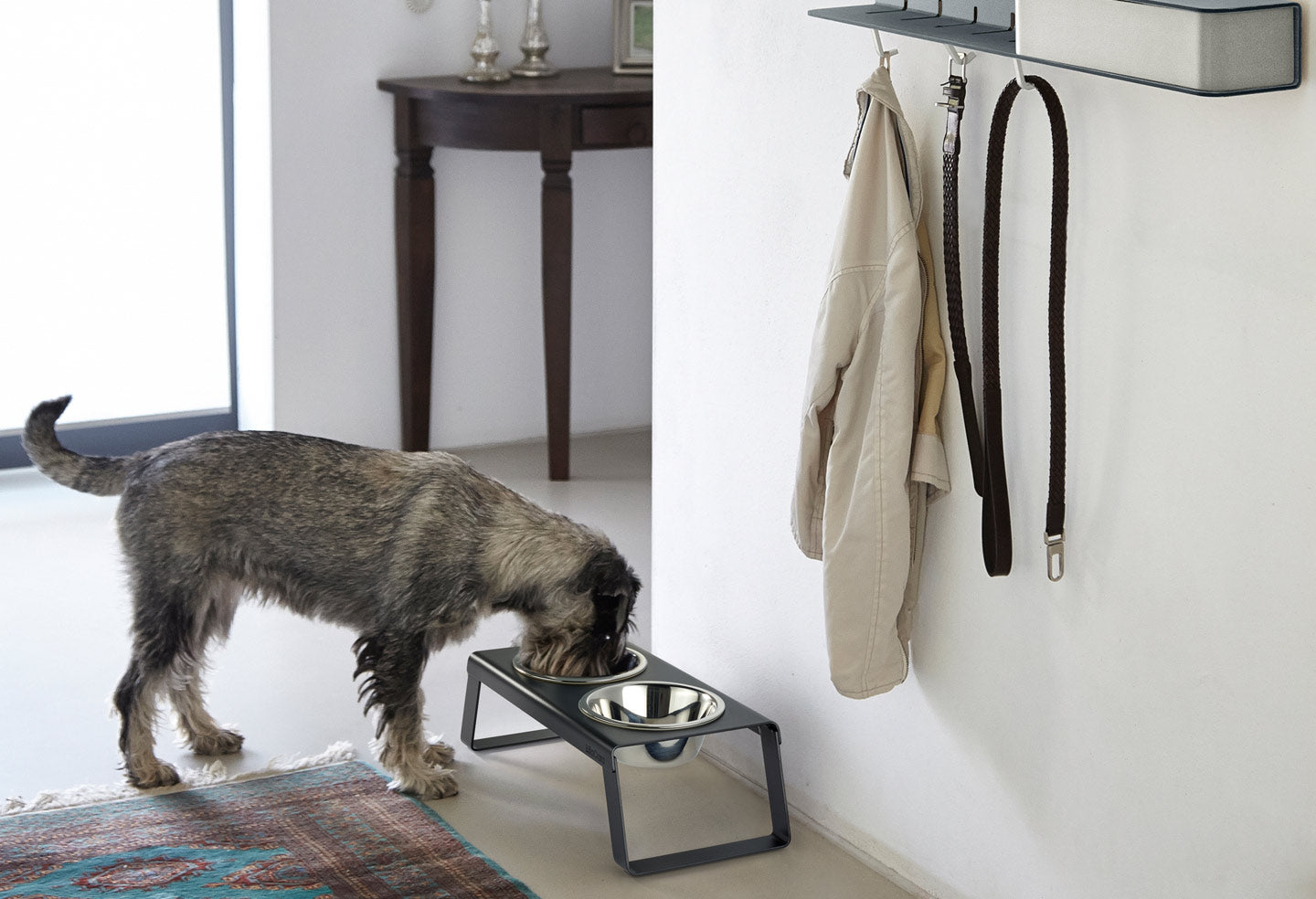 Desco is a modern elevated dog feeder from Miacara