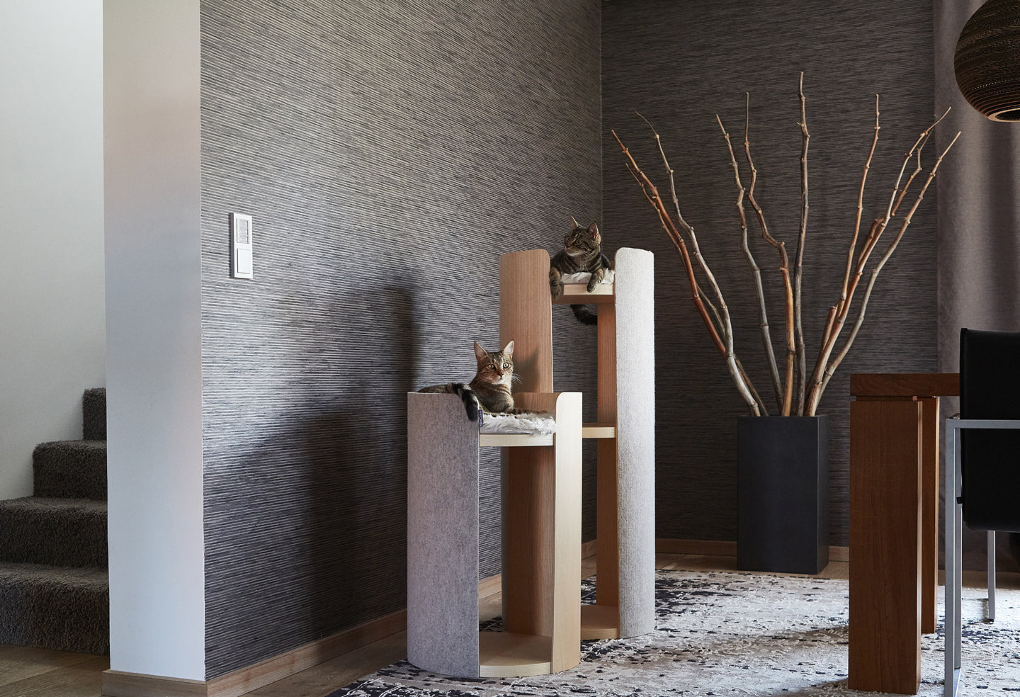 Stylish cat scratching post from Miacara