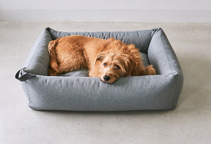 Designer orthopedic hypoallergenic durable dog bed