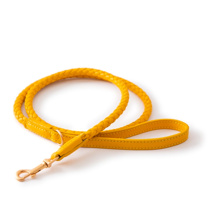 Ferdinando quality leather dog leash