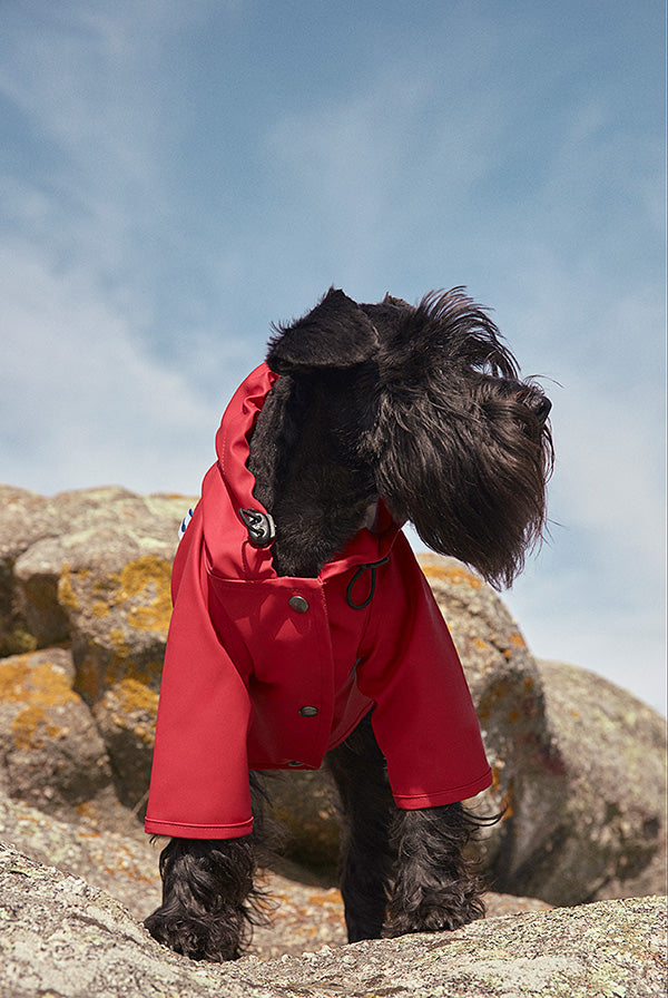 Waterproof Small Dog Rain Jacket For Dogs Up to 13 lbs
