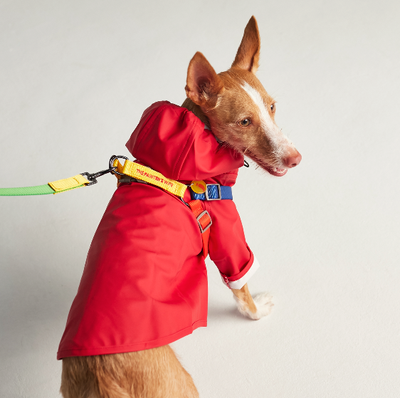 Waterproof Small Dog Rain Jacket For Dogs Up to 13 lbs